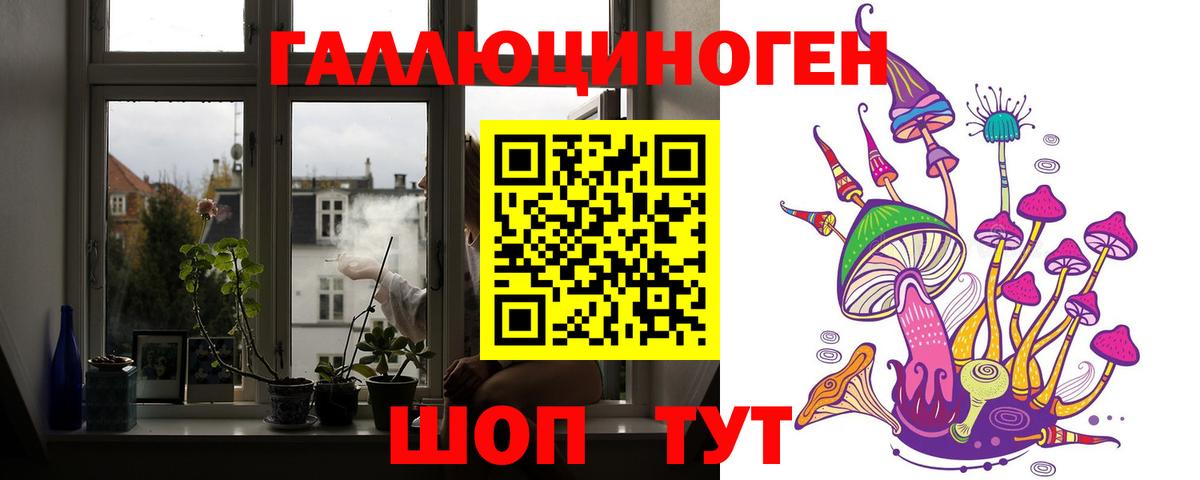 Чайковский  Галлюциногенные грибы Psilocybine cubensis  Вход с VPN 